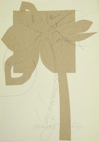 Amaryllis, January 26<br />
cut paper and graphite on paper, 9" x 6 1/2"<br />
2006 : Amaryllis : Amy Finley Scott