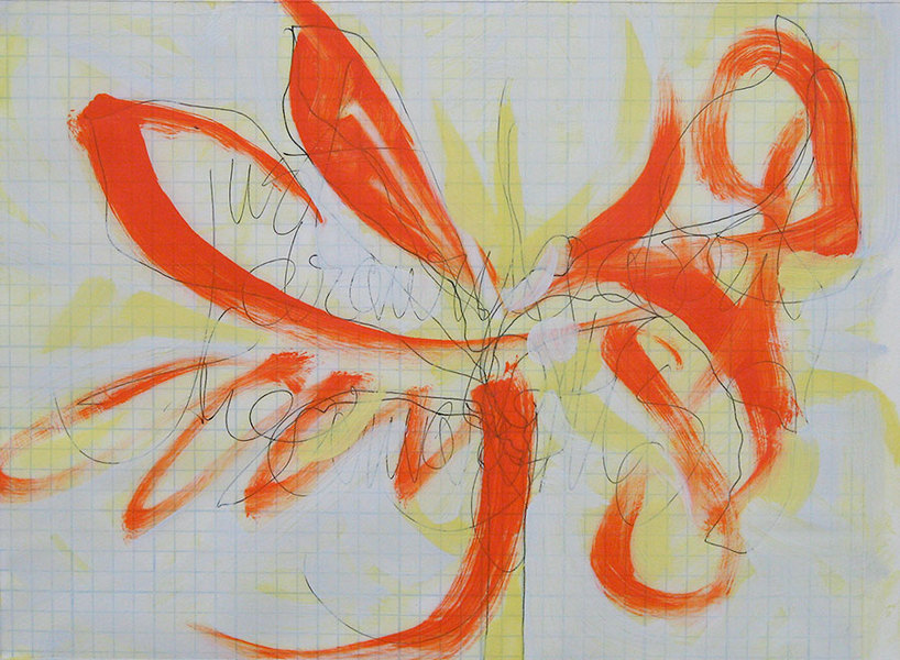 Just Drawing (Amaryllis)<br />
pen & oil on graph paper, 8" x 10 1/2"<br />
2010 : Amaryllis : Amy Finley Scott