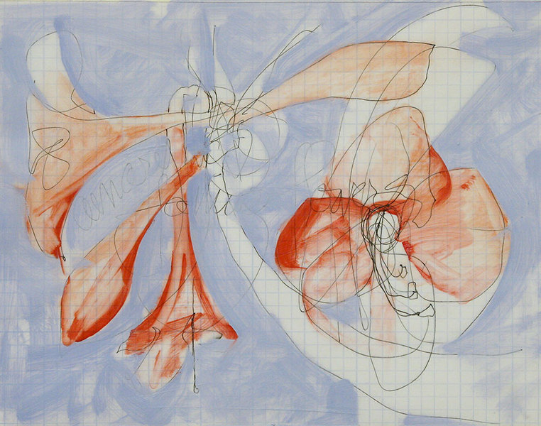 Falling Flowers (Amaryllis)<br />
pen & oil on graph paper, 8" x 10 1/2"<br />
2010 : Amaryllis : Amy Finley Scott