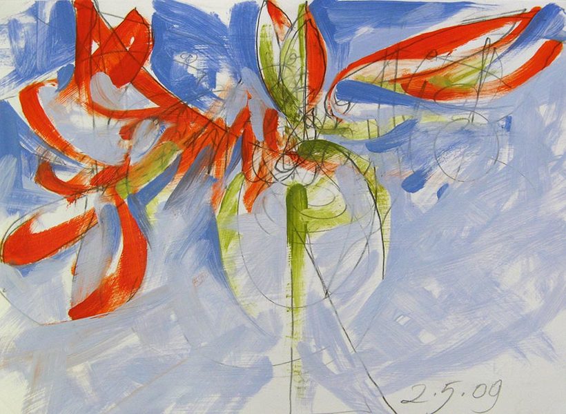 Red Amaryllis I<br />
graphite & oil on paper, 11" x 14"<br />
2009 : Amaryllis : Amy Finley Scott