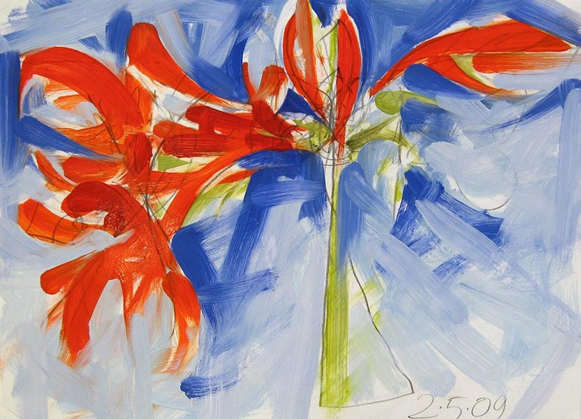 Red Amaryllis II<br />
graphite & oil on paper, 11" x 14"<br />
2009 : Amaryllis : Amy Finley Scott