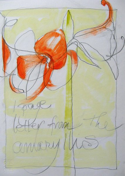 1 Page Letter<br />
graphite & oil on paper, 14" x 11"<br />
2009 : Amaryllis : Amy Finley Scott