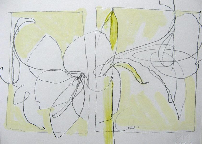 Diptych, A.<br />
graphite & oil on paper, 11" x 14"<br />
2009 : Amaryllis : Amy Finley Scott