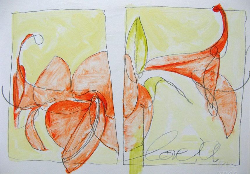 Diptych, Love, A.<br />
graphite & oil on paper, 11" x 14"<br />
2009 : Amaryllis : Amy Finley Scott