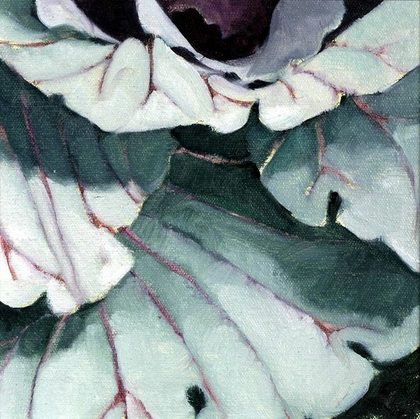 Cabbage Detail #4<br />
oil on canvas, 7 1/2" x 7 1/2"<br />
1996 : Cabbages : Amy Finley Scott