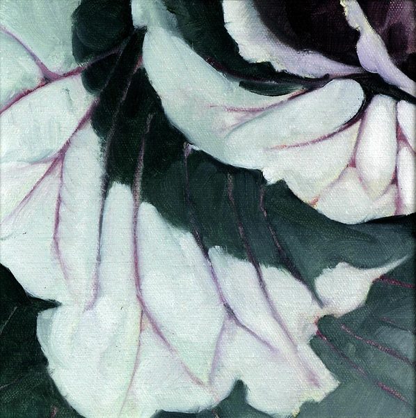 Cabbage Detail #3<br />
oil on canvas, 7 1/2" x 7 1/2"<br />
1996 : Cabbages : Amy Finley Scott