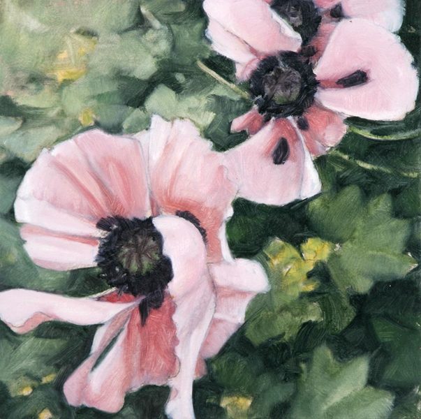 Poppies After Rain (square)<br />
oil on masonite, 7 1/2" x 7 1/2"<br />
1996 : Flowers and Gardens : Amy Finley Scott