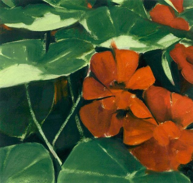 Wednesday's Nasturtiums<br />
oil on paper, 12" x 12 1/2"<br />
1989 : Flowers and Gardens : Amy Finley Scott