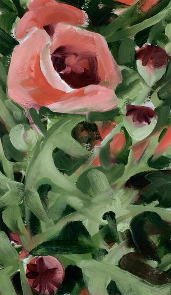 Last Poppies<br />
oil on paper, 12 1/2" x 7"<br />
1989 : Flowers and Gardens : Amy Finley Scott