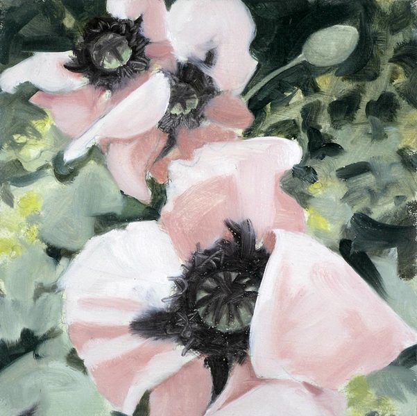 Poppies (9.5.96,2)<br />
oil on masonite, 7 1/2" x 7 1/2"<br />
1996 : Flowers and Gardens : Amy Finley Scott