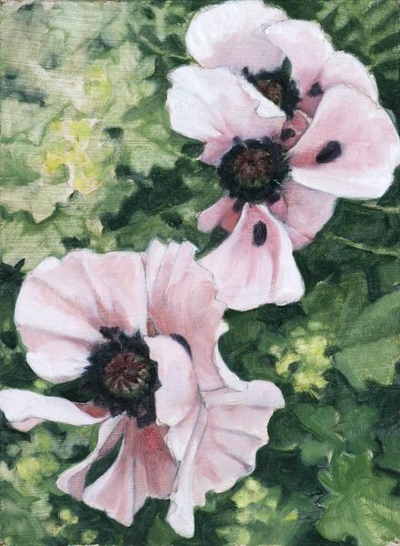 Poppies After Rain<br />
oil on masonite, 10" x 7 1/2"<br />
1996 : Flowers and Gardens : Amy Finley Scott