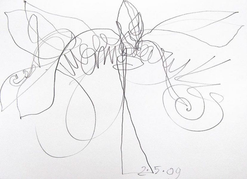 j. amaryllis<br />
graphite on paper, 11" x 14"<br />
2009 : Amaryllis : Amy Finley Scott